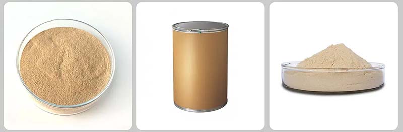 Целлюлаза Целлюлаза