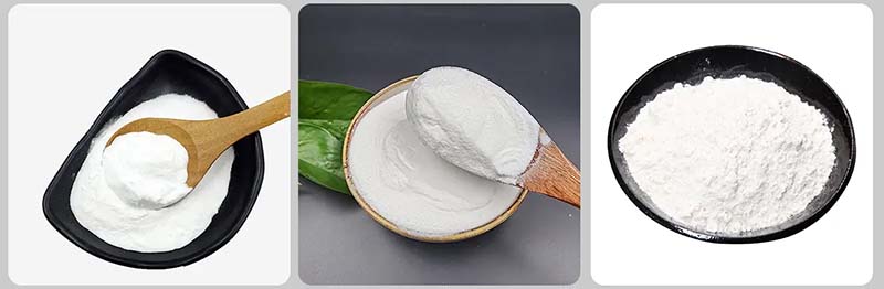 Chloramphenicol Chloramphenicol