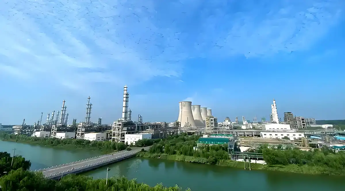 شركة دينغكياو للخدمات التقنية المحدودة شركة دينغكياو للخدمات التقنية المحدودة