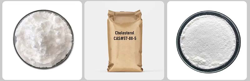 Colesterol Colesterol